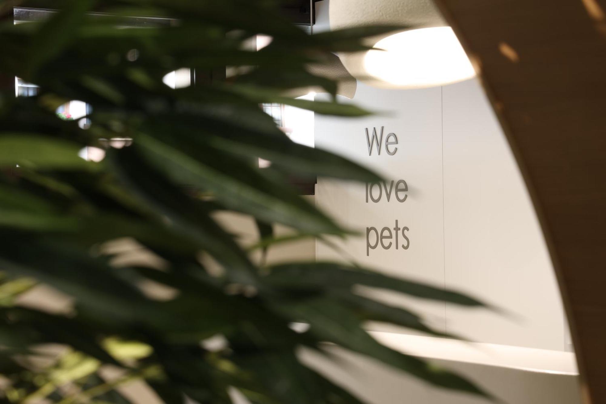 Aparthotel Nou Vielha Zewnętrze zdjęcie